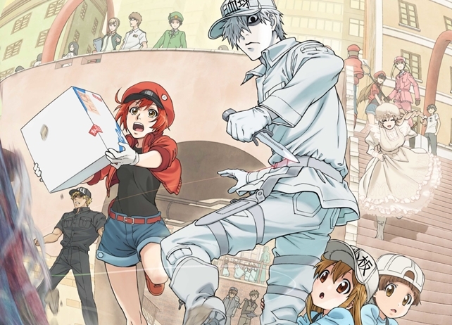 アニメ『はたらく細胞』全13話が「ボンボンＴＶ」で順次無料公開