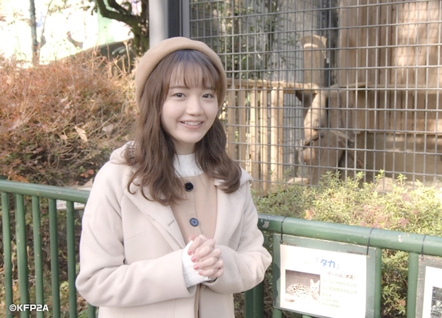 冬アニメ『けものフレンズ２』初回は放送直前特番に