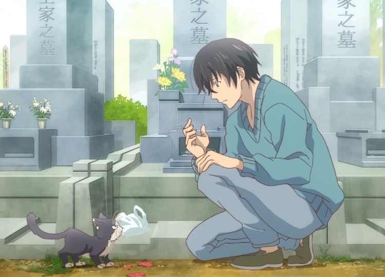 冬アニメ『同居人はひざ、時々、頭のうえ。』第1話あらすじ＆先行場面カット到着