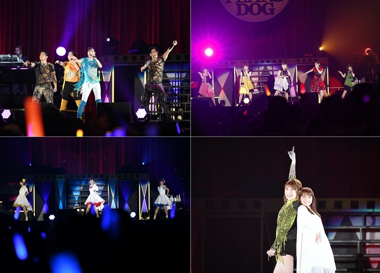 サプライズ多数！感謝の気持ちを込めた“犬フェス！”の模様をまるっとお届け