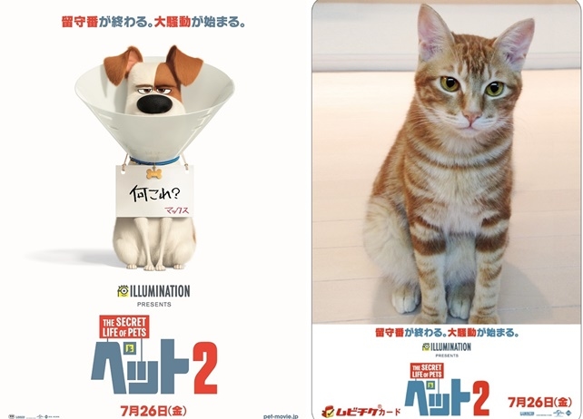 映画『ペット2』ティザービジュアルが公開