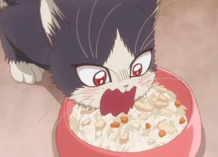 冬アニメ『ひざうえ。』第10話の先行カット到着