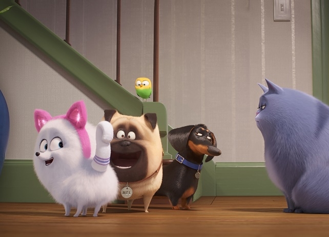 映画『ペット2』ギジェット編のトレーラーが解禁
