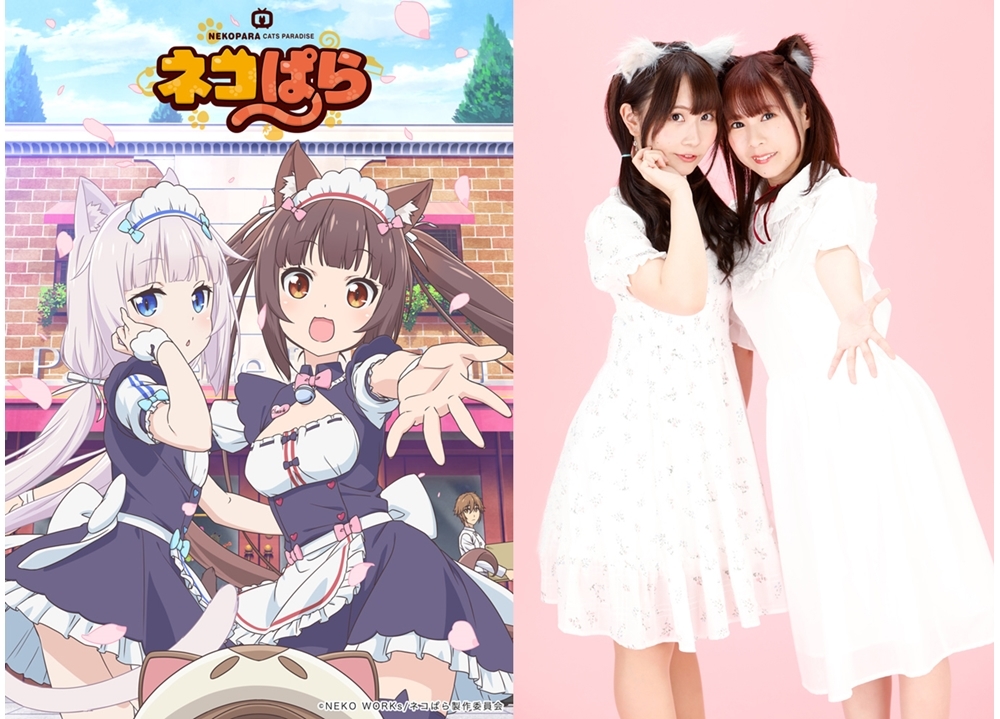 世界累計260万DLのゲームコンテンツ『ネコぱら』がTVアニメ化！