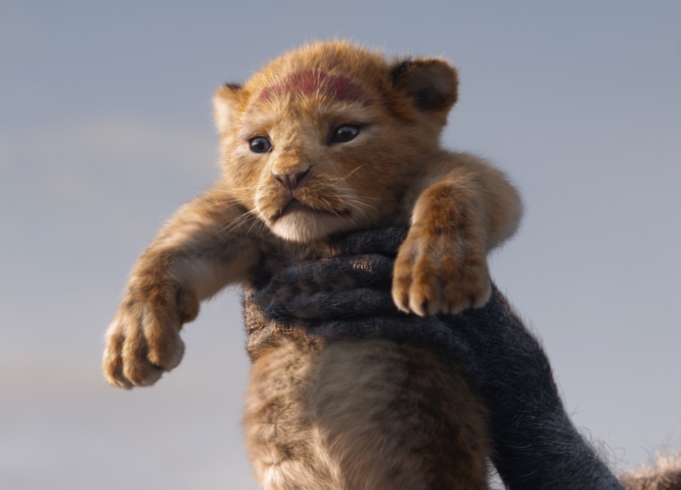 超実写版『ライオン・キング』“プレミアム吹替版”最新クリップ解禁