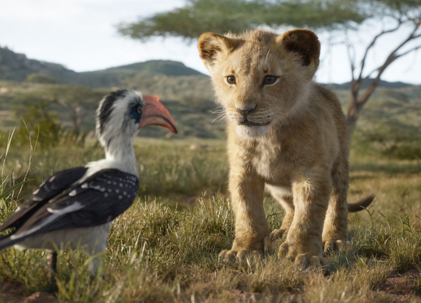 超実写版『ライオン・キング』吹替版「王様になるのが待ちきれない」最新クリップ解禁