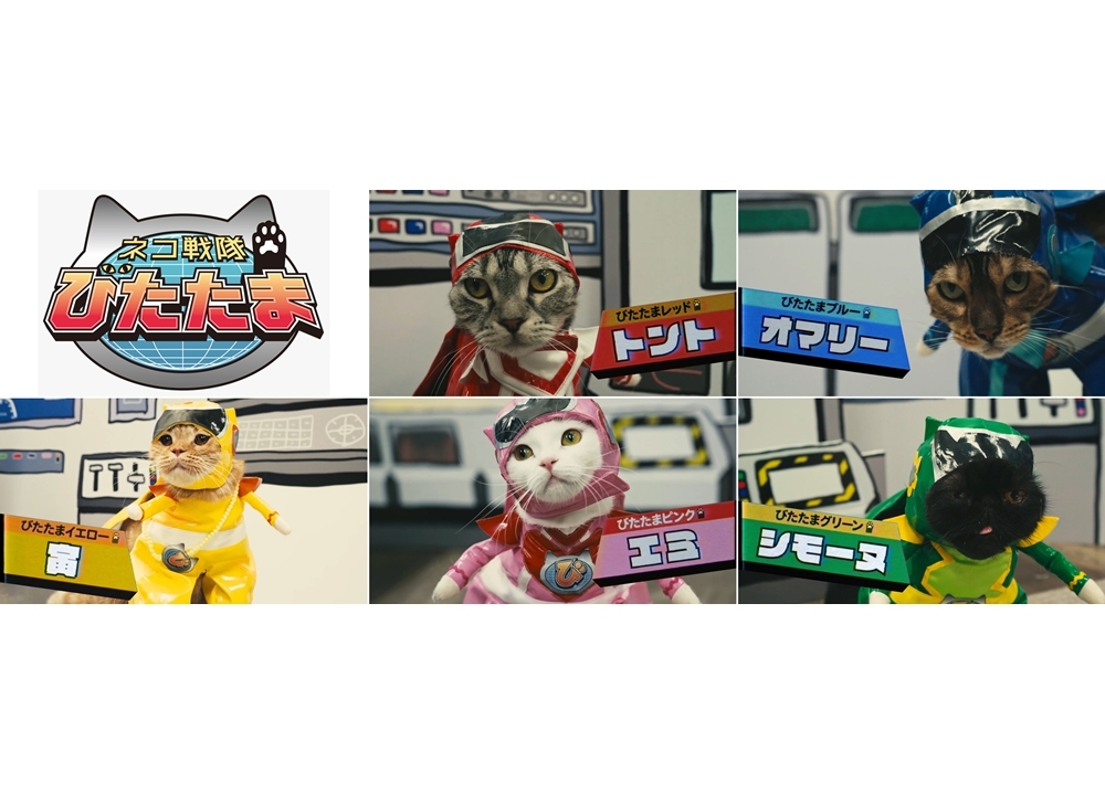 声優×猫『ネコ戦隊 びたたま』10/11より放送スタート