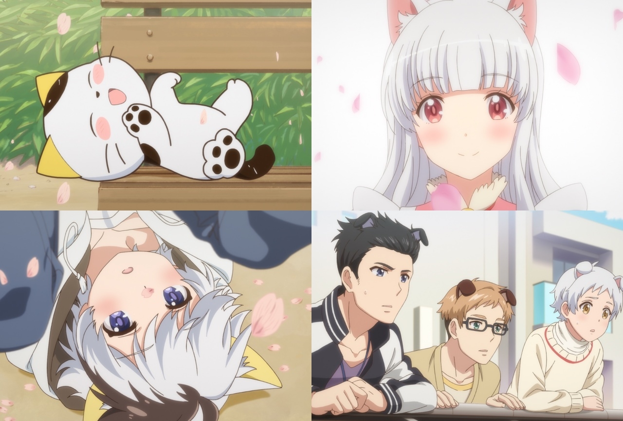 『うちタマ?!』最新PV・CM・放送日、飼い主の声優陣などが一挙解禁