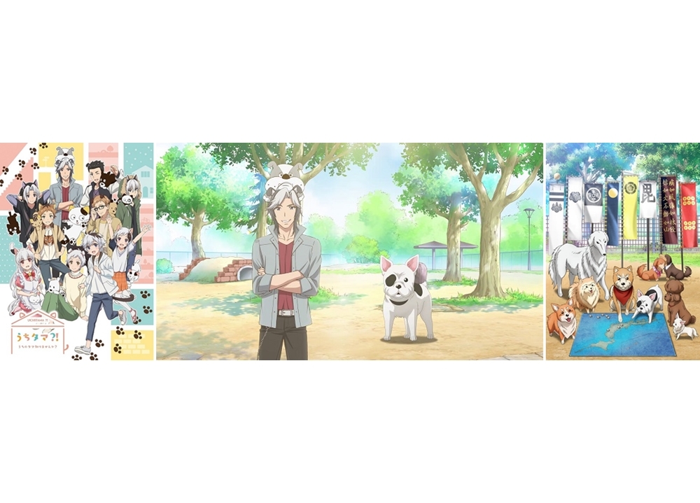 『うちタマ?!』×『織田シナモン信長』コラボムービー解禁！