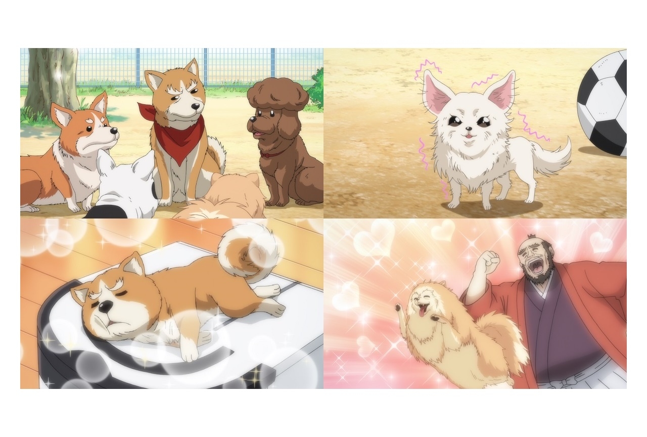 冬アニメ『織田シナモン信長』第6話先行場面カット・あらすじ公開