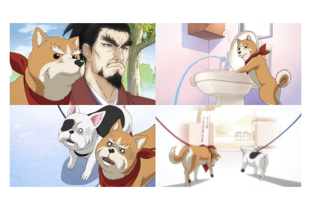 冬アニメ『織田シナモン信長』第7話先行場面カット・あらすじ公開