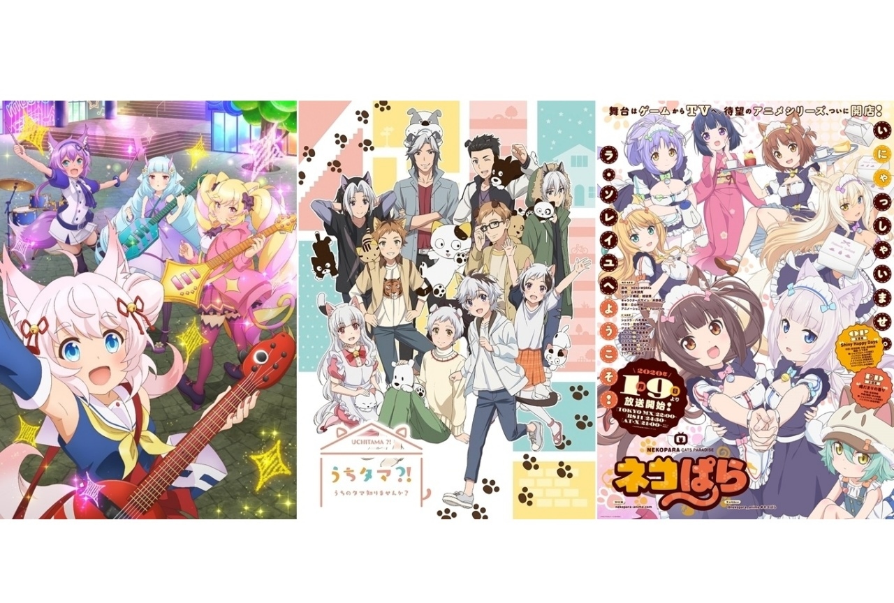 【アニメ今日は何の日？】2月22日は「にゃんにゃんにゃん」のネコの日！