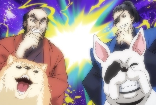 冬アニメ『織田シナモン信長』第8話先行場面カット・あらすじ公開