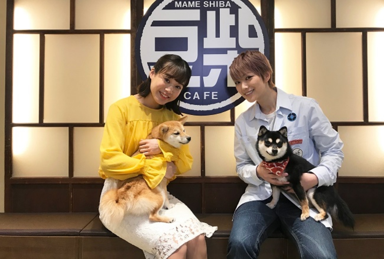 冬アニメ『織田シナモン信長』ドラマCD発売＆BD・DVDの映像特典も公開