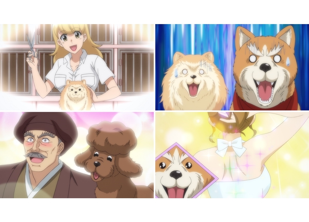 『織田シナモン信長』第10話の先行カット公開！