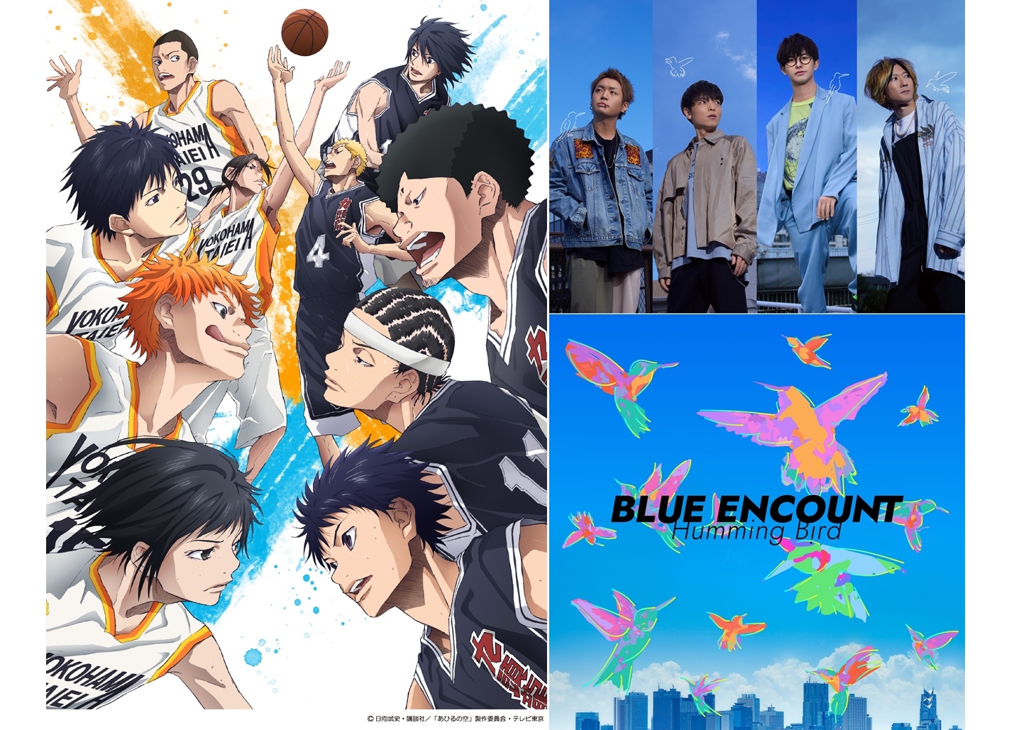 春アニメ『あひるの空』新OP「ハミングバード」ノンクレジット映像解禁