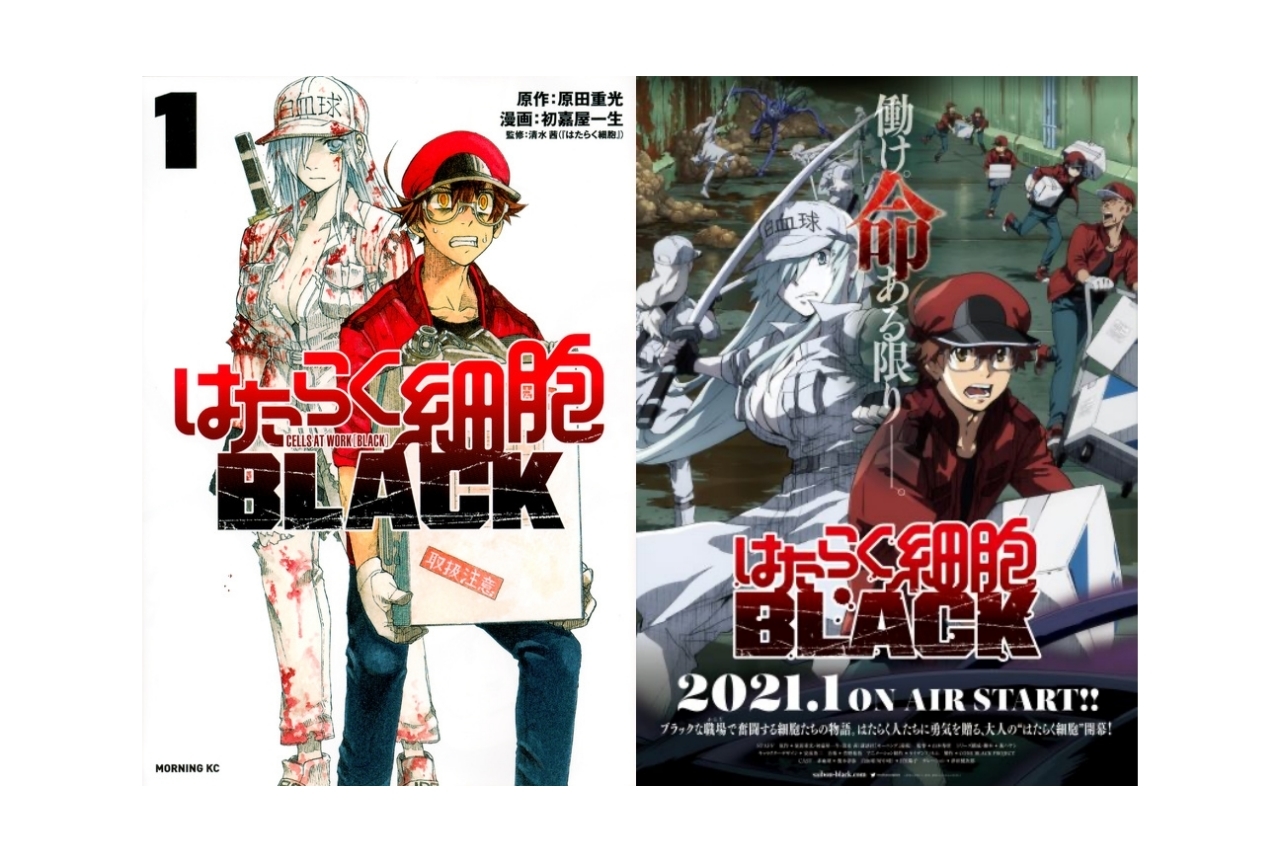 『はたらく細胞BLACK』TVアニメ化！榎木淳弥ら出演声優発表