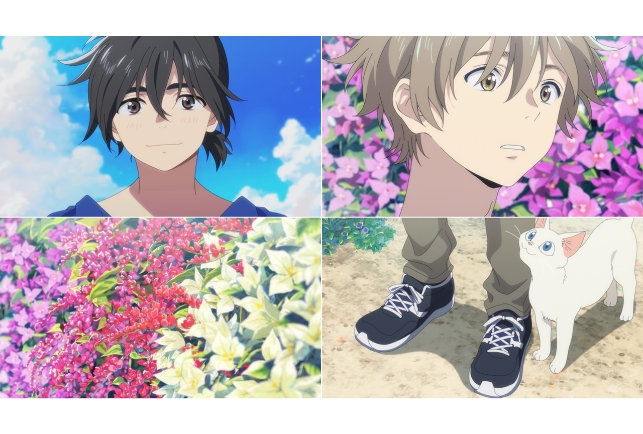 アニメ映画『海辺のエトランゼ』特報映像＆新規場面カット解禁