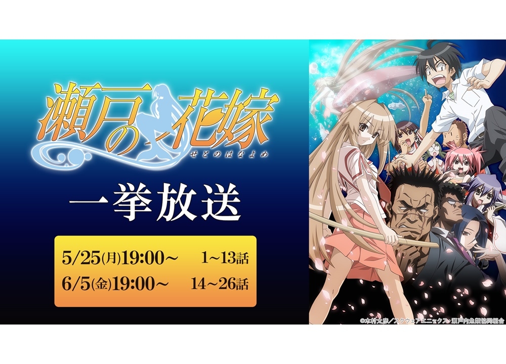桃井はるこ・水島大宙出演の『瀬戸の花嫁』一挙放送決定！