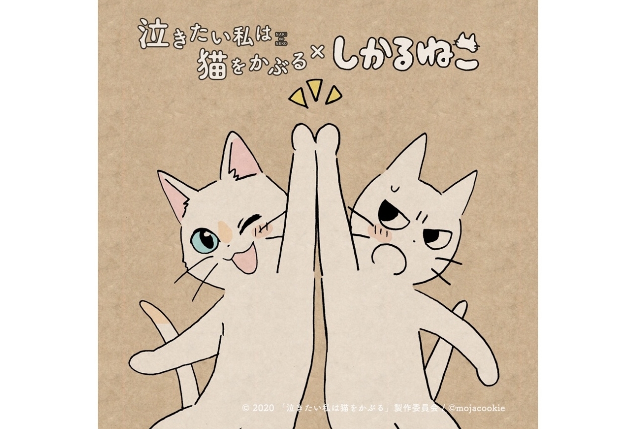 アニメ映画『泣き猫』応援隊長に大人気キャラ「しかるねこ」が就任