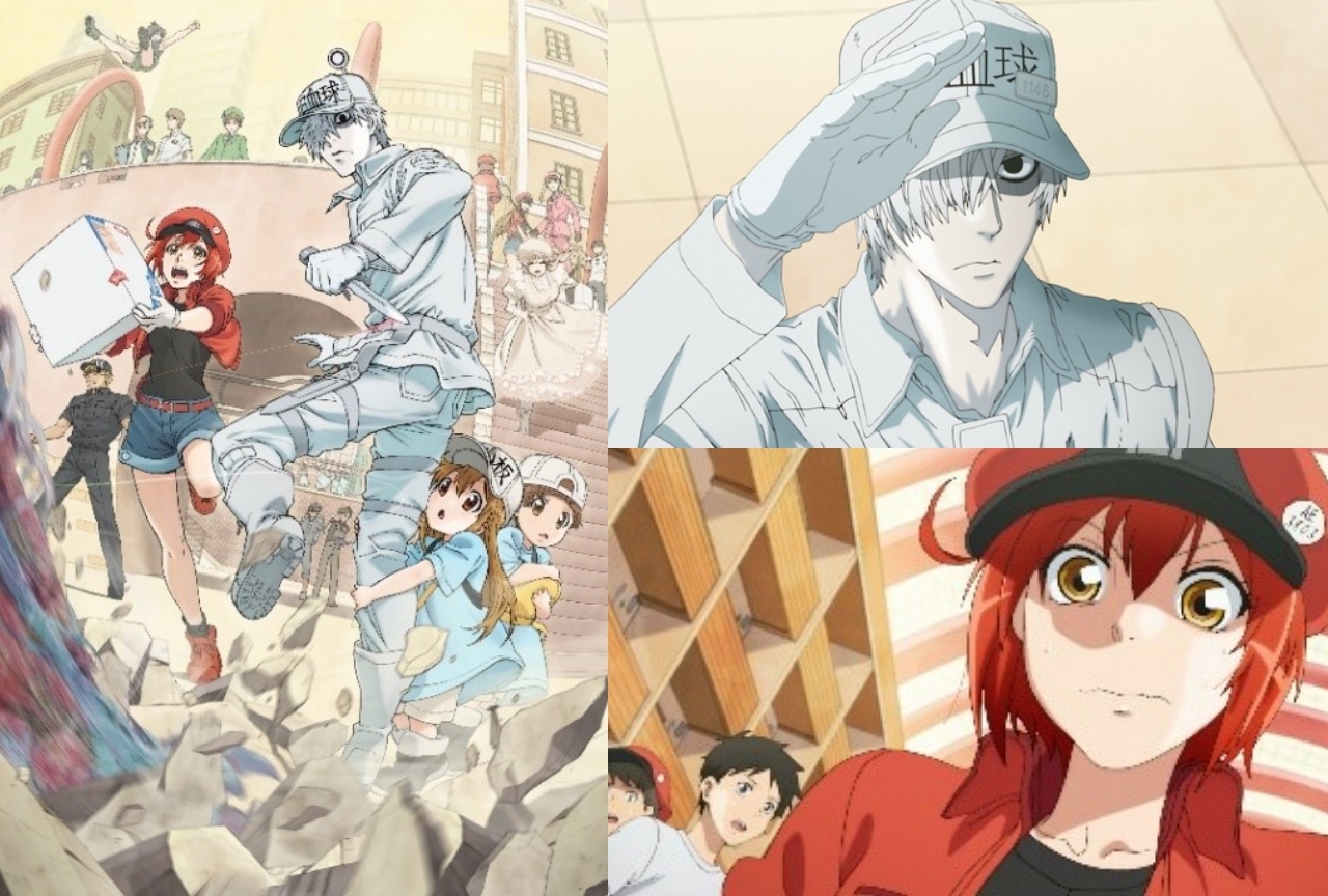 TVアニメ『はたらく細胞』再放送＆ABEMA特別番組配信決定！