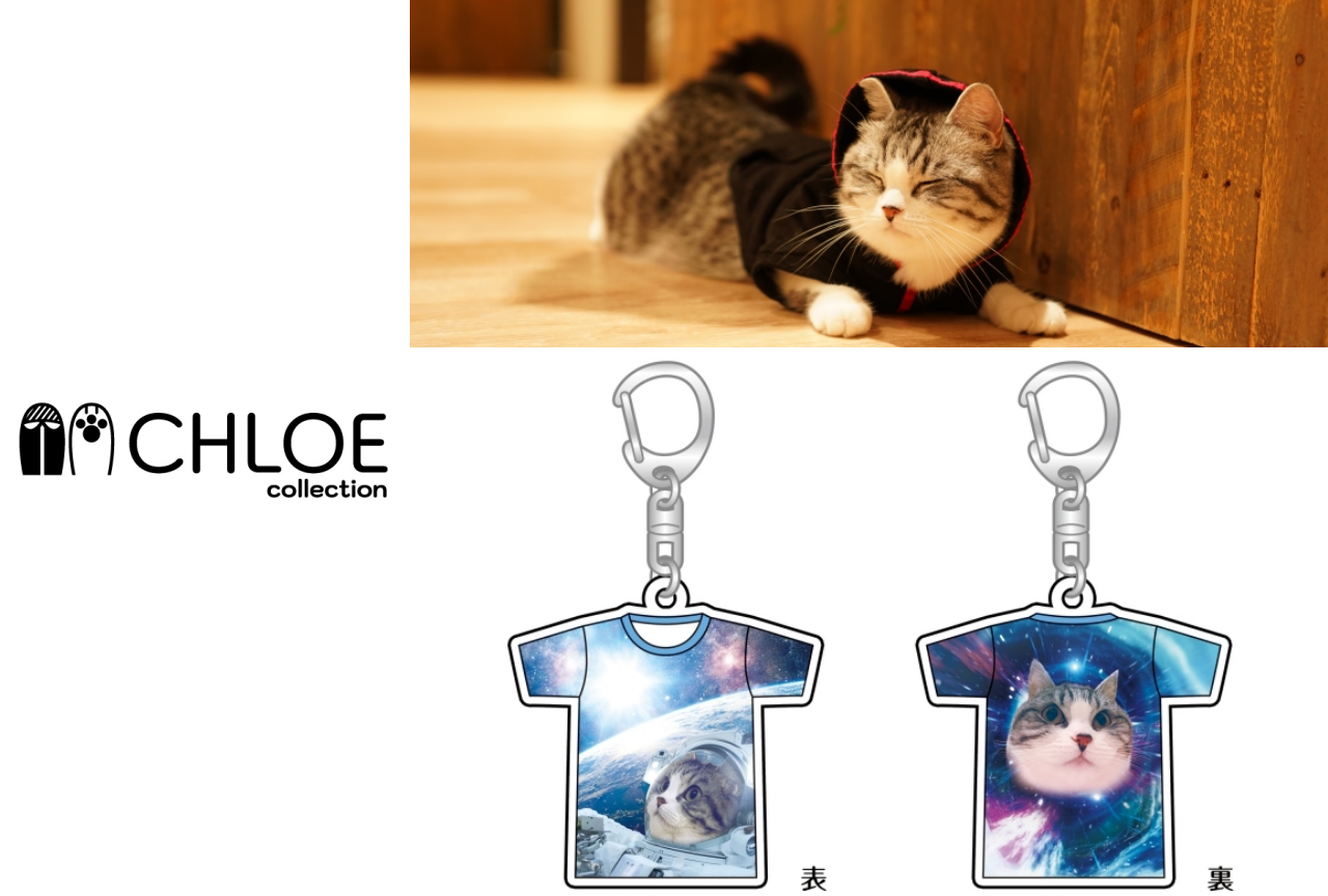 【M.S.S Project】eoheohの愛猫・クロエがグッズ化