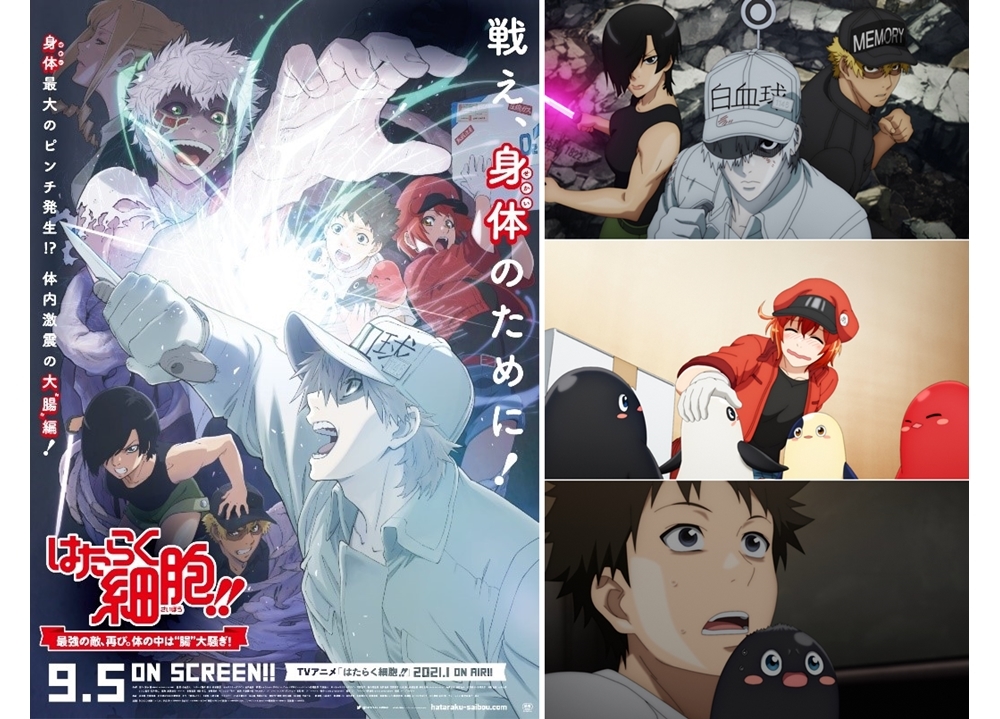 第2期上映版『はたらく細胞!!』吉田有里・高橋李依ら追加声優解禁