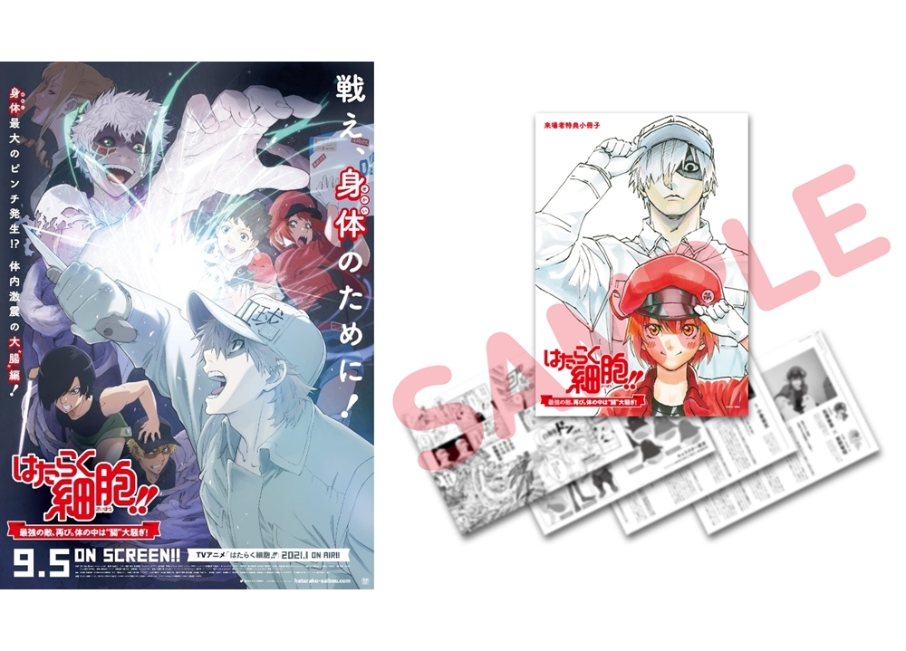 アニメ映画『はたらく細胞!!』来場者特典決定！声優・花澤香菜らの初日舞台挨拶LVも実施