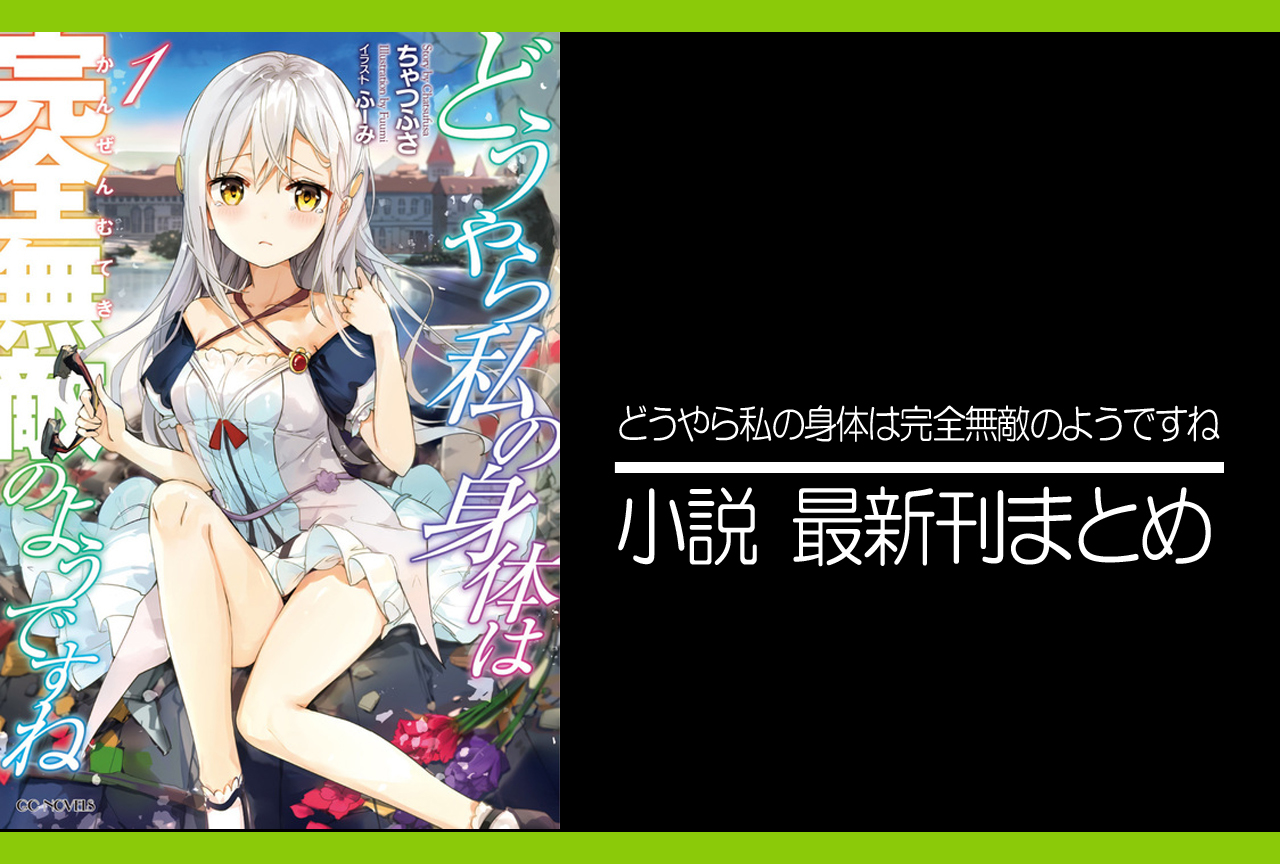 どうやら私の身体は完全無敵のようですね｜小説最新刊（次は7巻）発売日まとめ