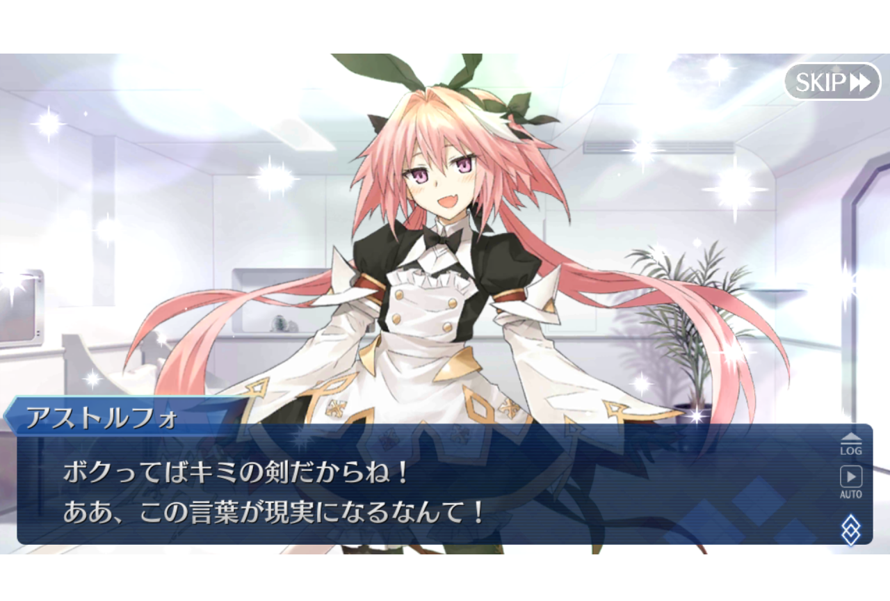 『Fate』シリーズ用語・ネタ解説【連載17回：ボクはキミの剣】