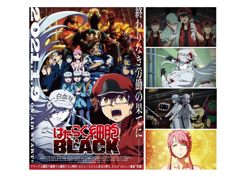 『はたらく細胞BLACK』椎名へきるら追加声優3名解禁!