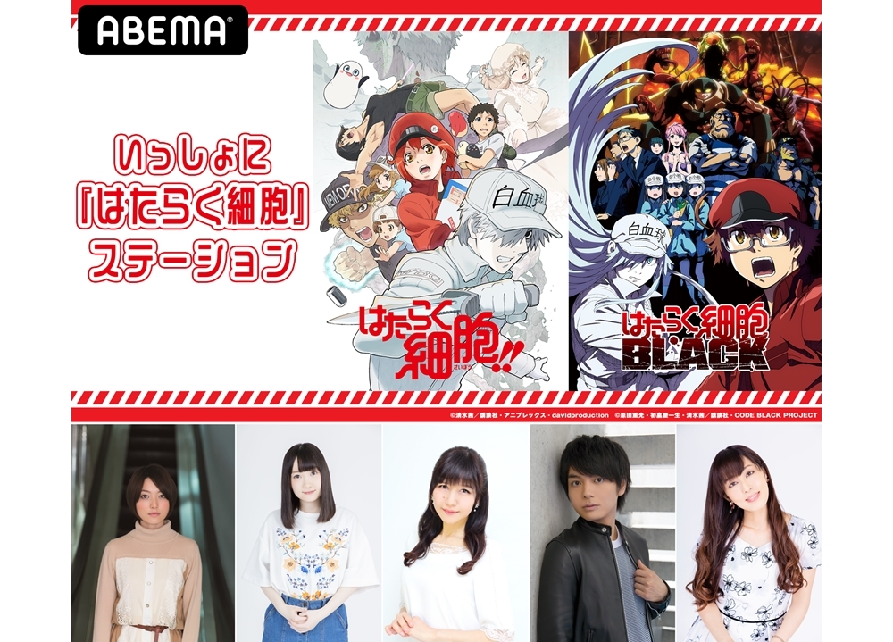声優の花澤香菜らが出演！『はたらく細胞』ABEMA特番＃2が1/17独占配信決定