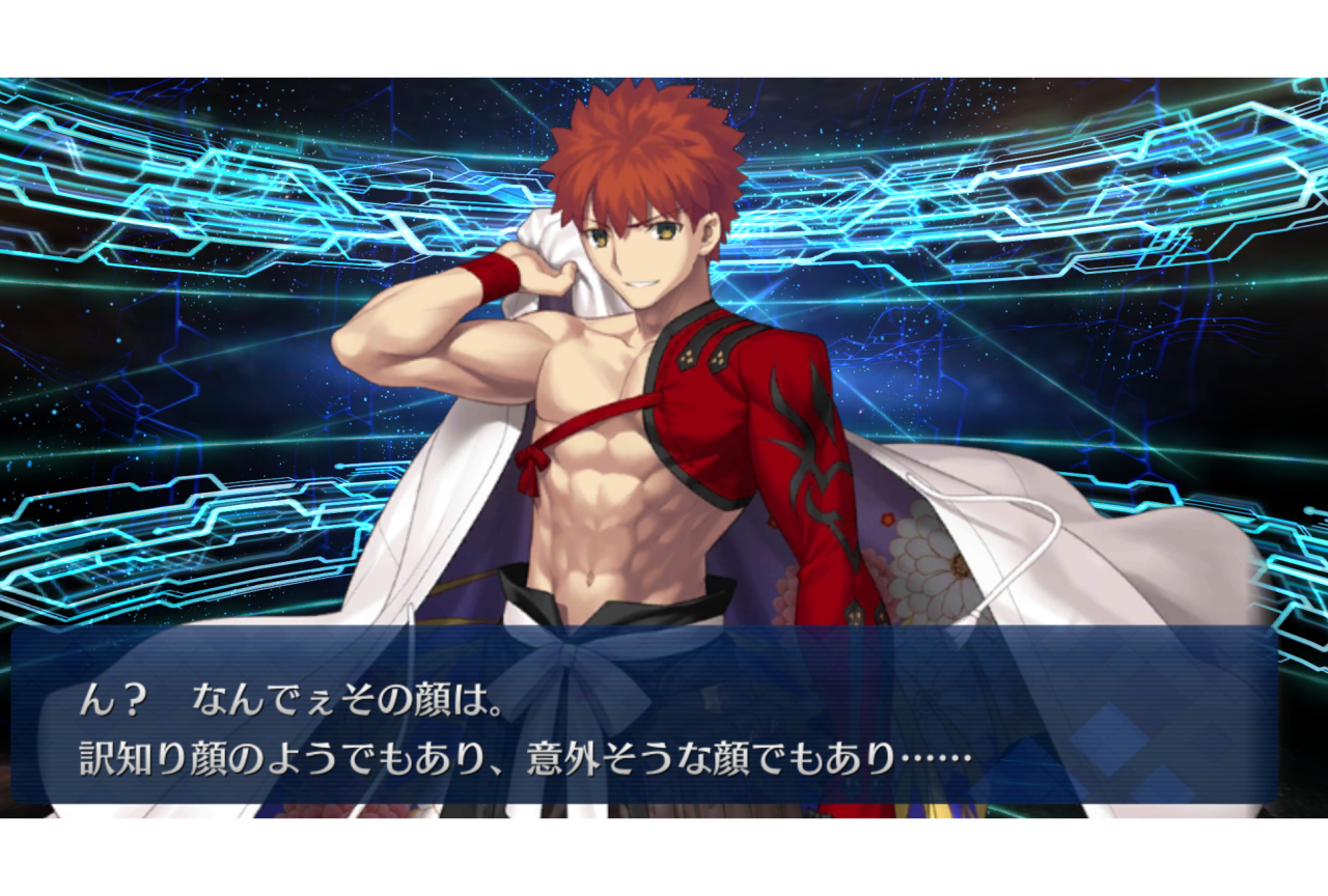 『Fate』シリーズ用語・ネタ解説【連載第20回：なんでさ】