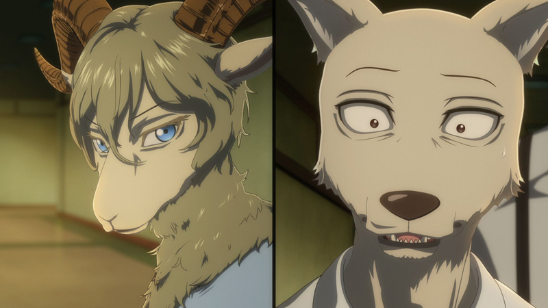 冬アニメ『BEASTARS』第2期：第19話より先行カット到着！
