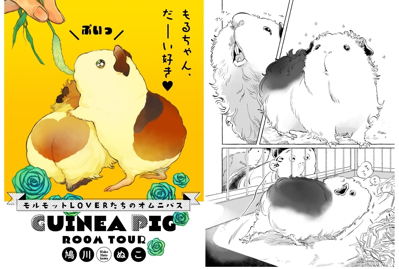 オムニバス漫画「GUINEA PIGROOM TOUR」連載スタート