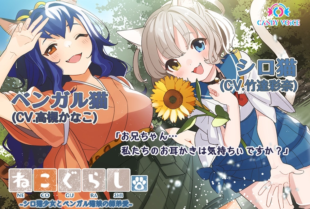 『ねこぐらし。3～シロ猫少女とベンガル猫娘の師弟愛～』発売開始