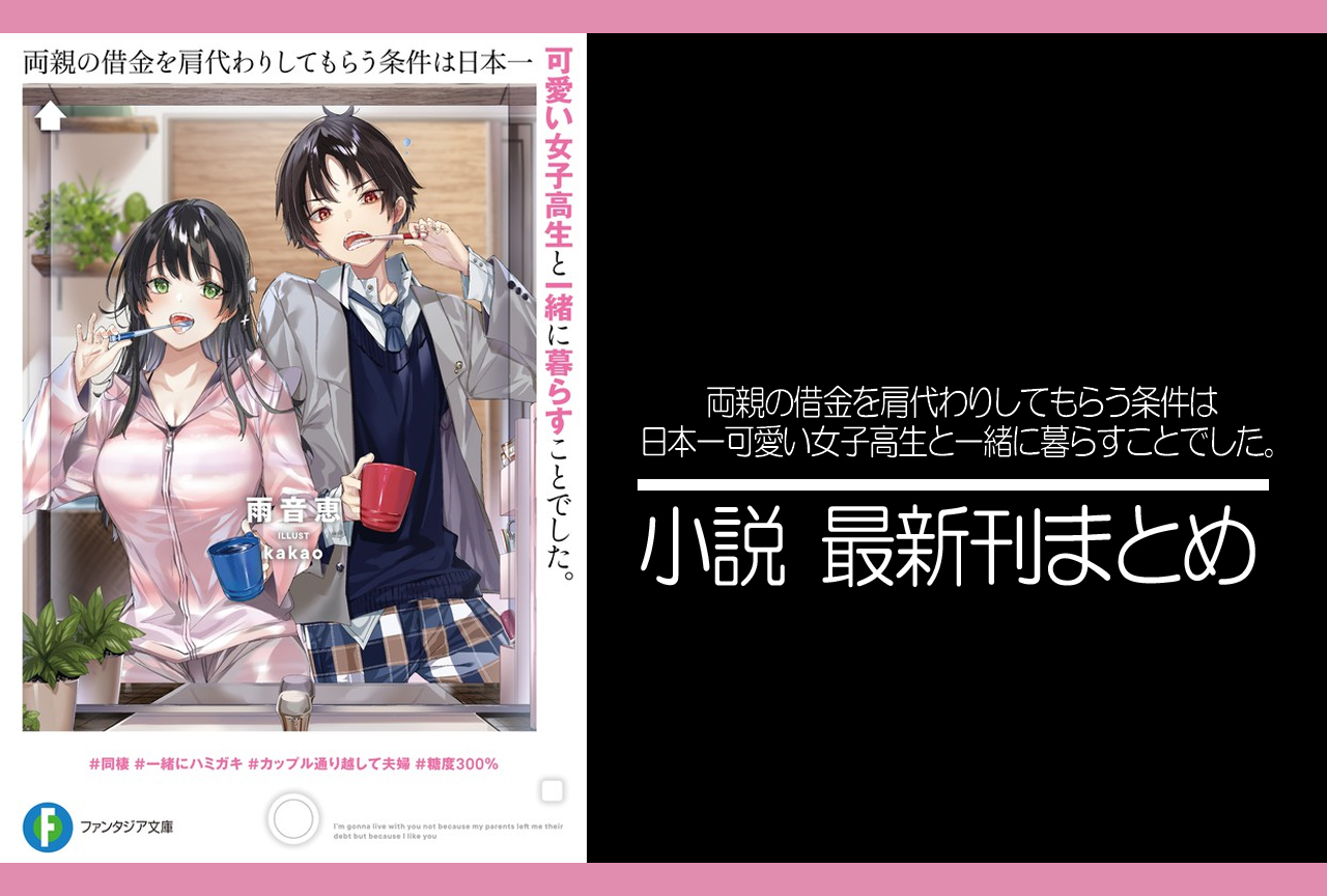 かたかわ｜小説最新刊（次は6巻）あらすじ・発売日まとめ