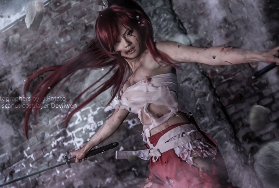 赤髪のキャラコスプレ特集│エルザ、モルジアナ、赤血球など