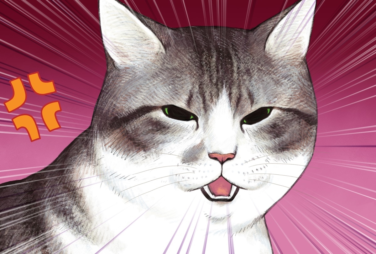 夏アニメ『俺、つしま』第8話あらすじ＆先行場面カット