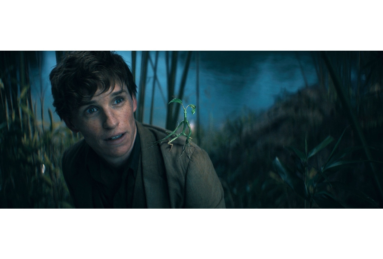 映画『ファンタビ』最新作 日本版予告が公開