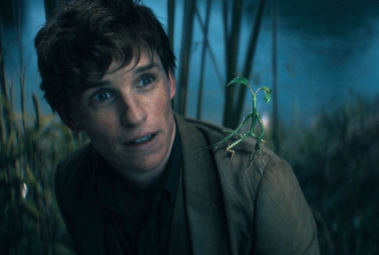 実写映画『ファンタビ』最新作TVスポット映像2種公開