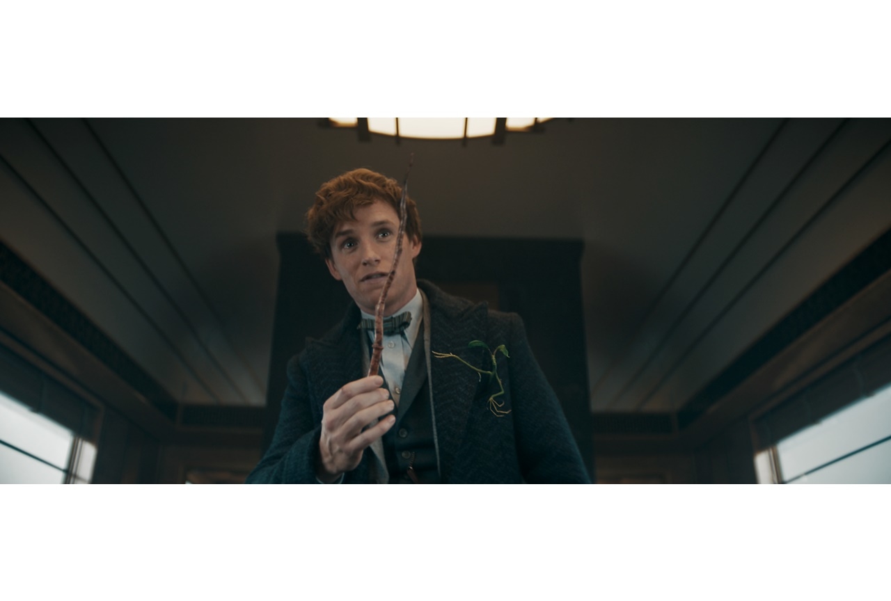 映画『ファンタビ』最新作 吹替声優＆吹替版スポット映像解禁