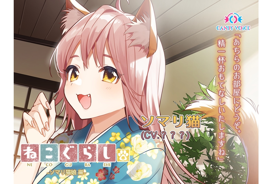 ASMR音声作品『新・ねこぐらし。』第6弾「ソマリ猫」のキービジュアル解禁！