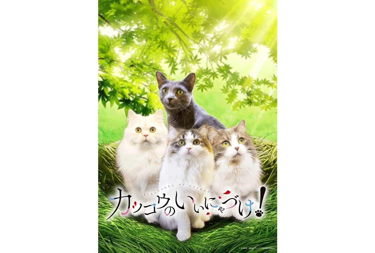 TVアニメ『カッコウのいいにゃづけ！』2222年2月22日放送決定!?【エイプリルフール】