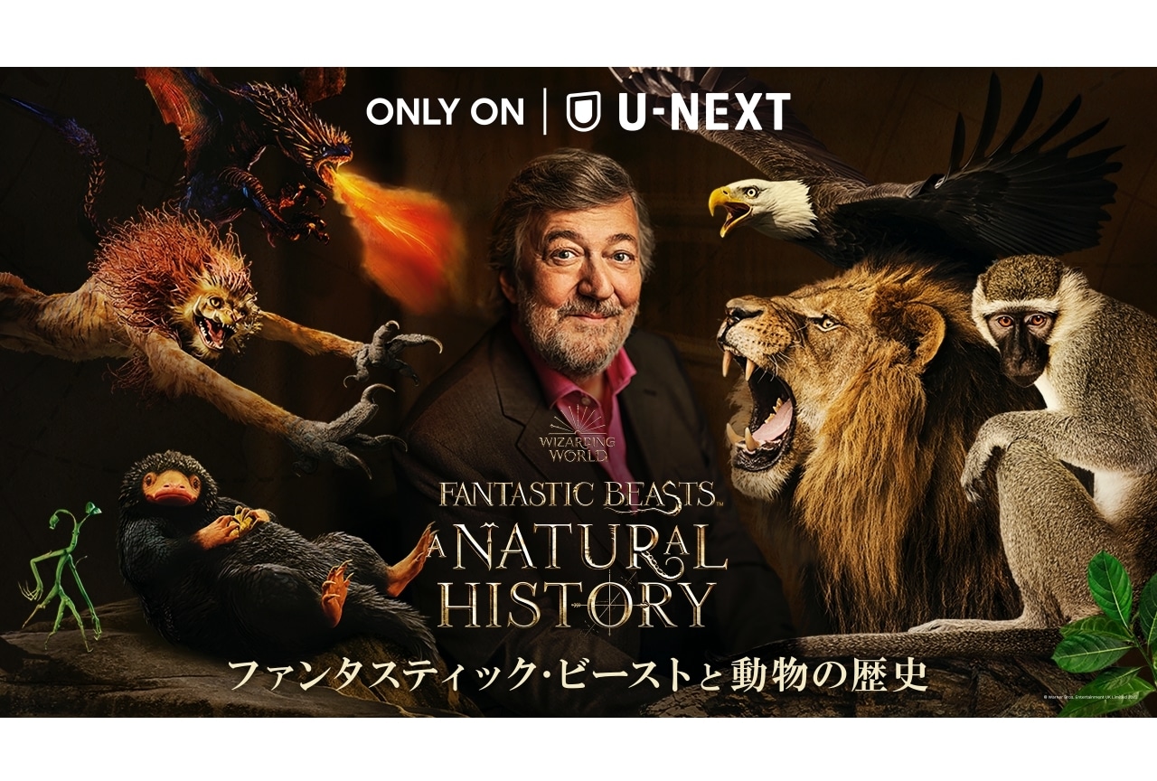 ハリー・ポッター20周年記念番組吹替版が配信・小野賢章ら再集結