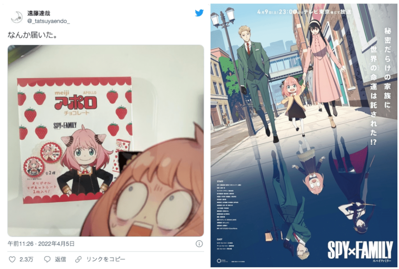 『SPY×FAMILY』アポロコラボにファンが反響を寄せ話題に！【注目ワード】