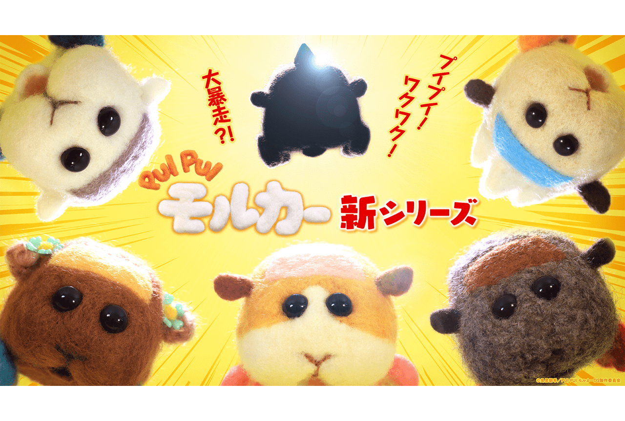 TVアニメ『PUI PUI モルカー』新シリーズ 2022年秋より放送決定