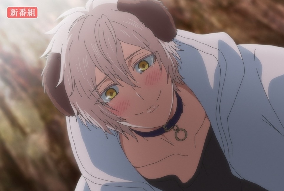 夏アニメ『森のくまさん、冬眠中。』PV 2パターン、主題歌公開