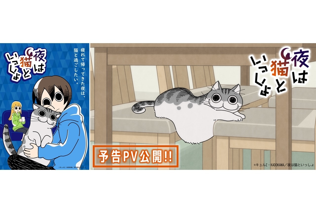 夏アニメ『夜は猫といっしょ』予告PVで声優・高垣彩陽＆日野聡＆種﨑敦美のボイス初公開