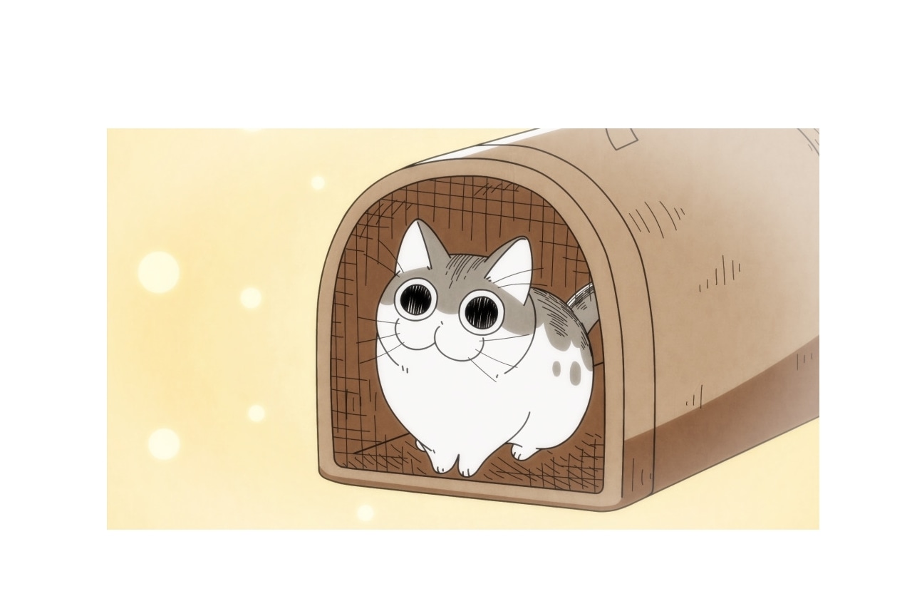 夏アニメ『夜は猫といっしょ』第1・2夜の場面カット公開